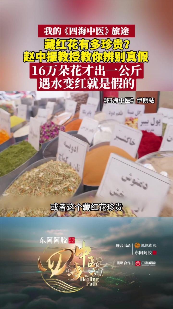 藏红花珍贵却易造假，如何辨别？遇水变红就是假的丨四海中医
