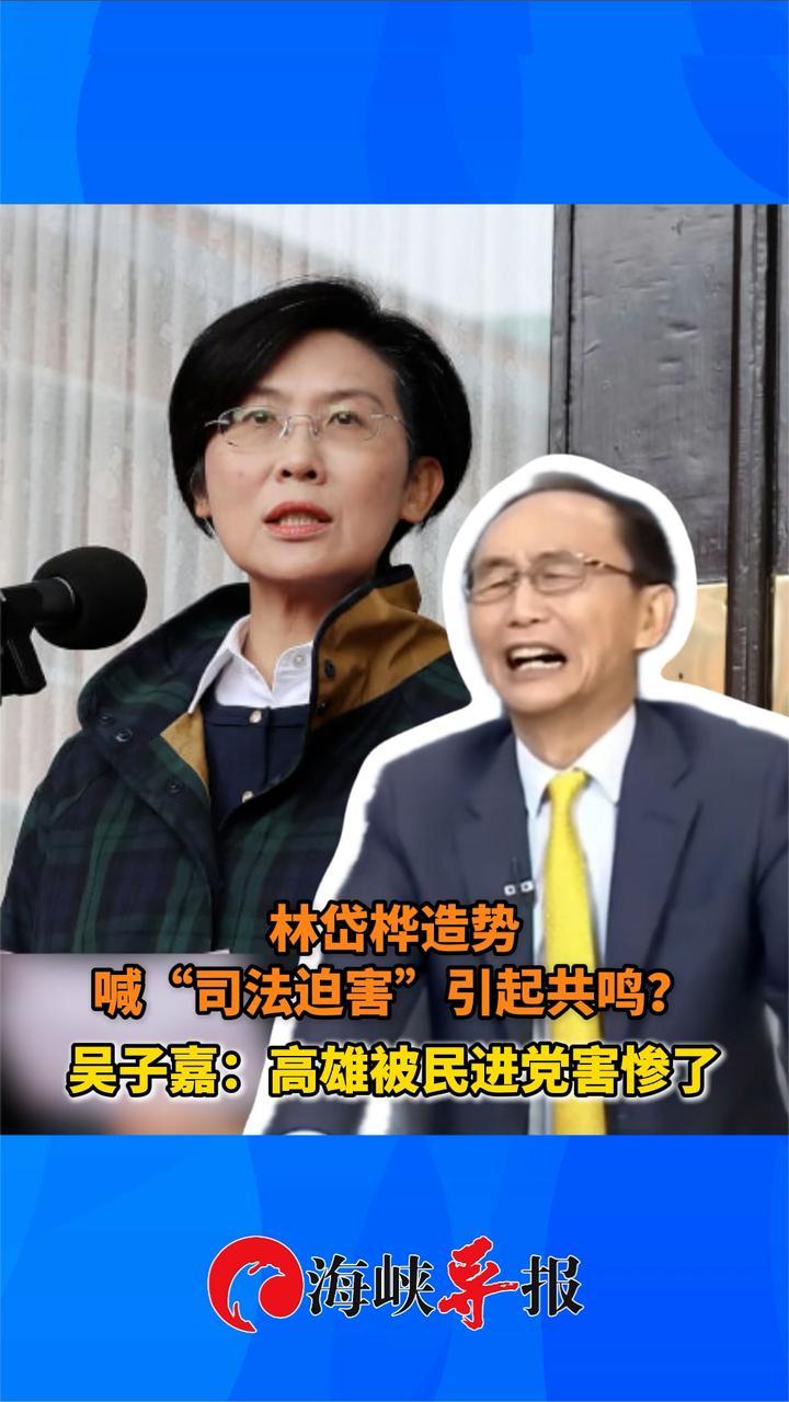 林岱桦造势喊“司法迫害”引起共鸣？吴子嘉：高雄被民进党害惨了