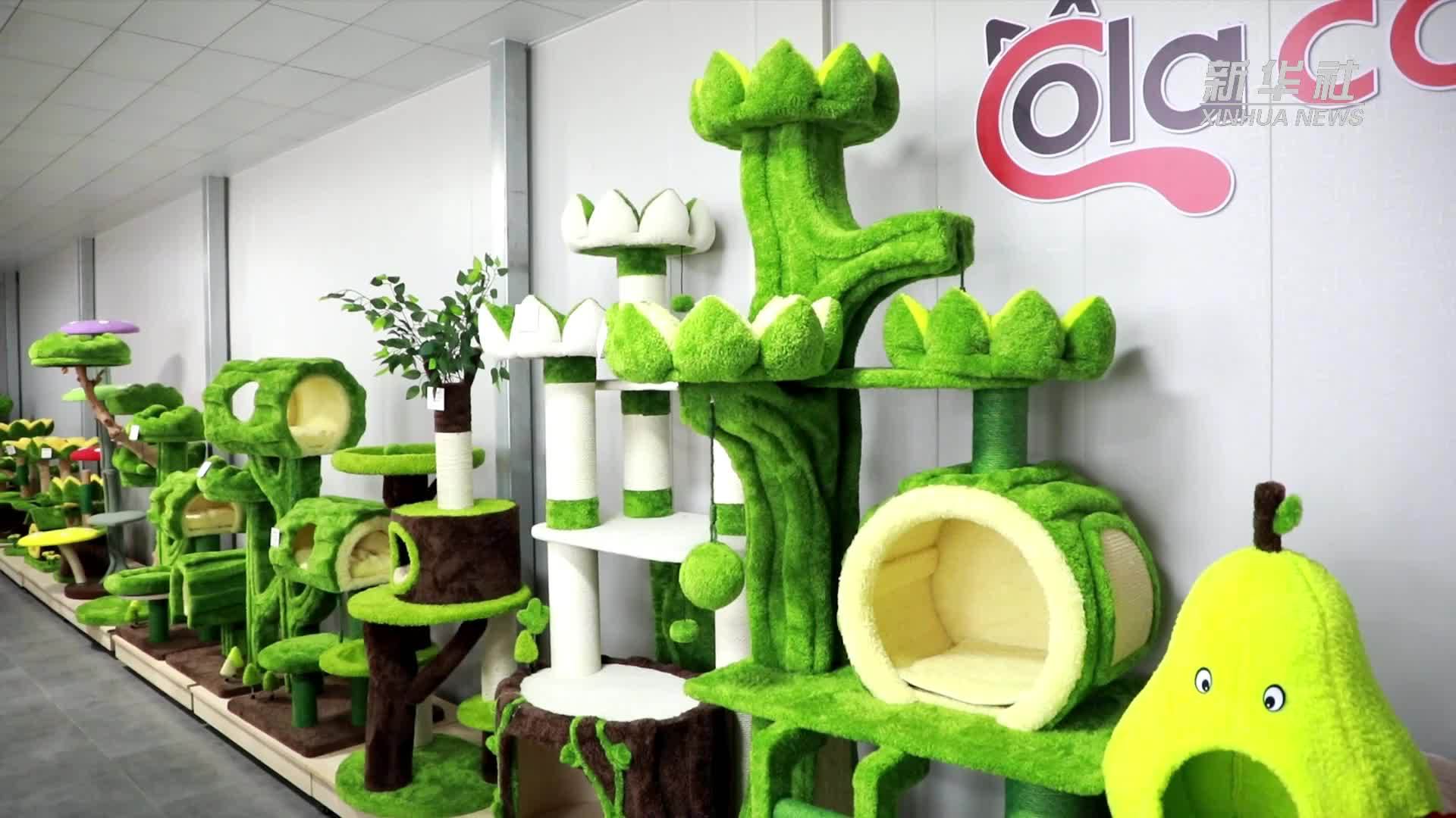 千亿“新赛道”的崛起密码｜玩出新花样：打造“毛孩子”的专属乐园