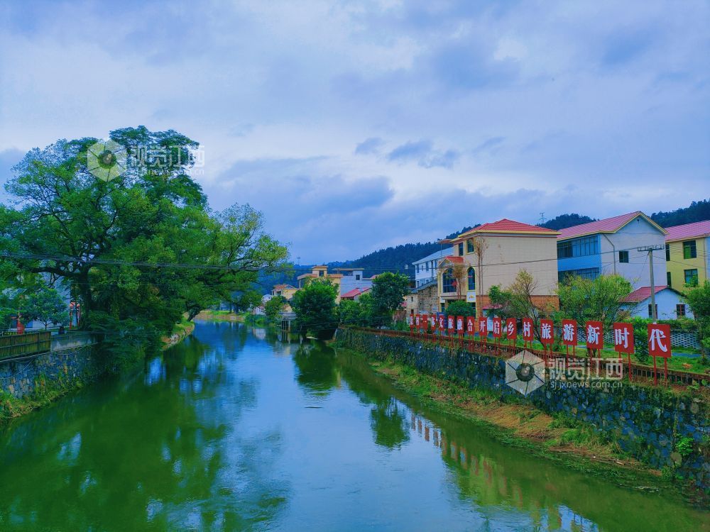 初冬的永新县坳南乡牛田村,六七河畔古樟参天,虬枝盘曲,与碧水相映,静谧而厚重。
