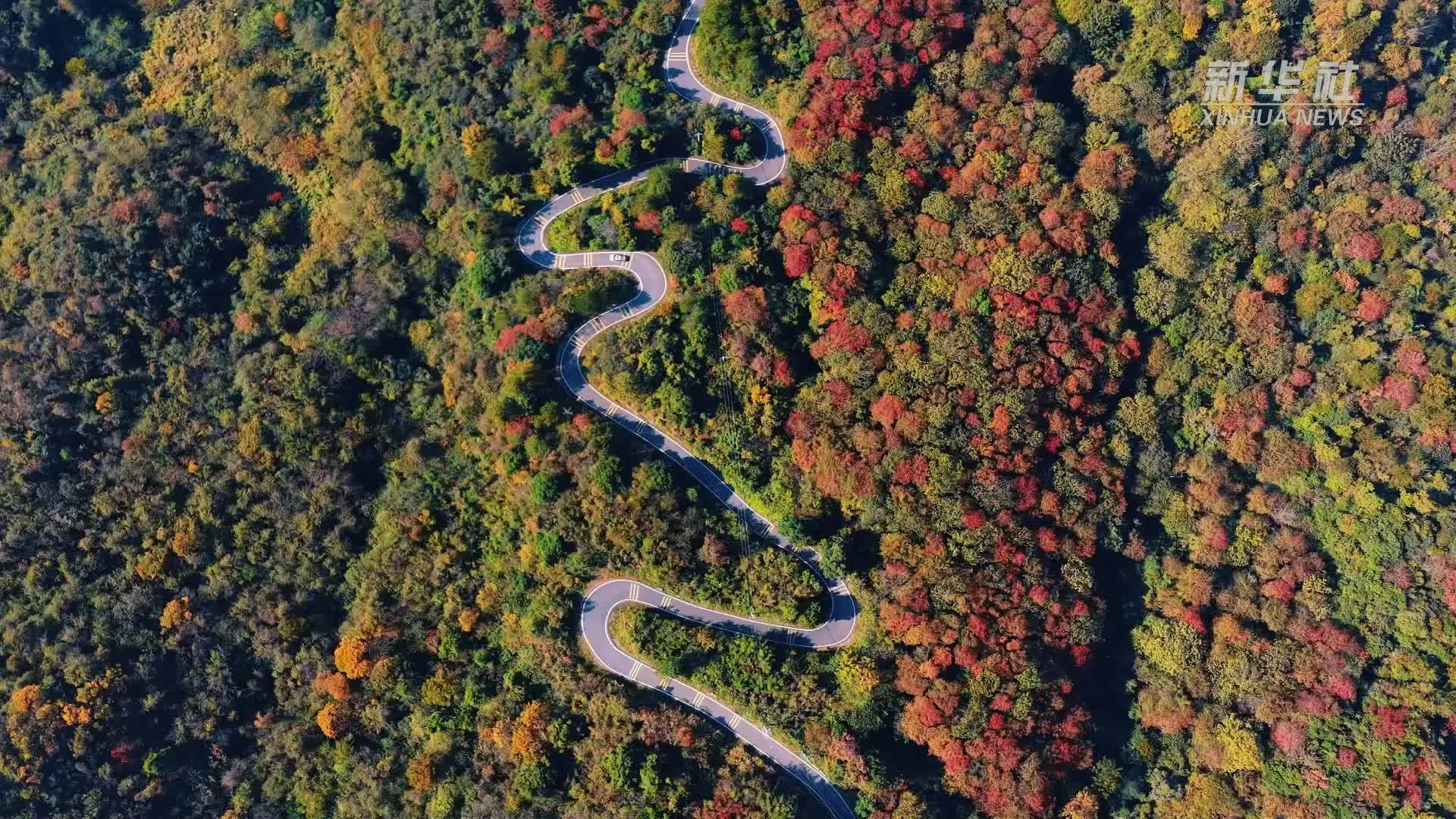 江西湖口：山林秋色美如画