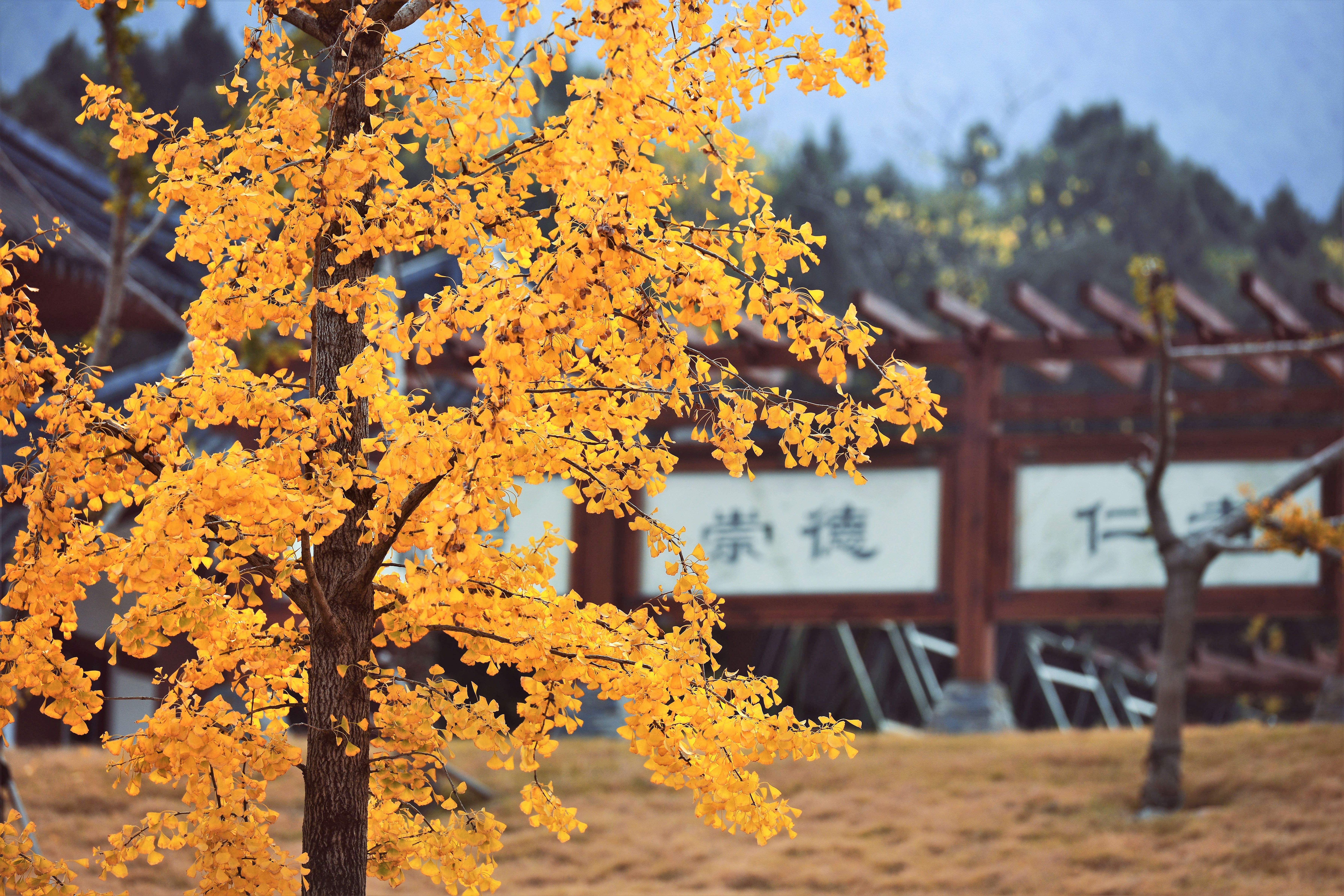 江苏建院构建“323”师德建设体系,全体教师同上“师德必修课”