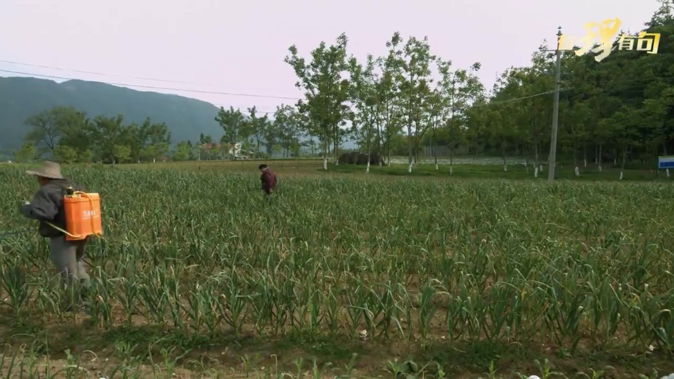 【有理有句】38.83元，见证一位老党员的为民情怀