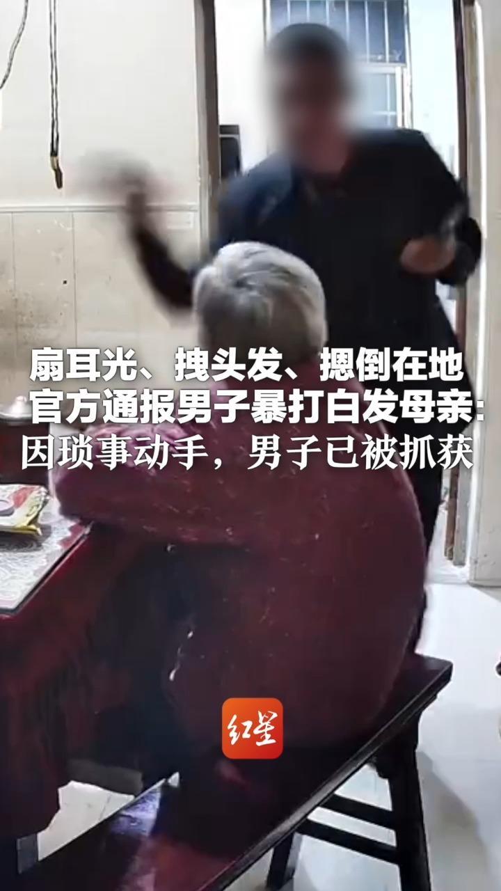 扇耳光、拽头发、摁倒在地  官方通报男子暴打白发母亲：因琐事动手，男子已被抓获 当地妇联、派出所已派专人上门