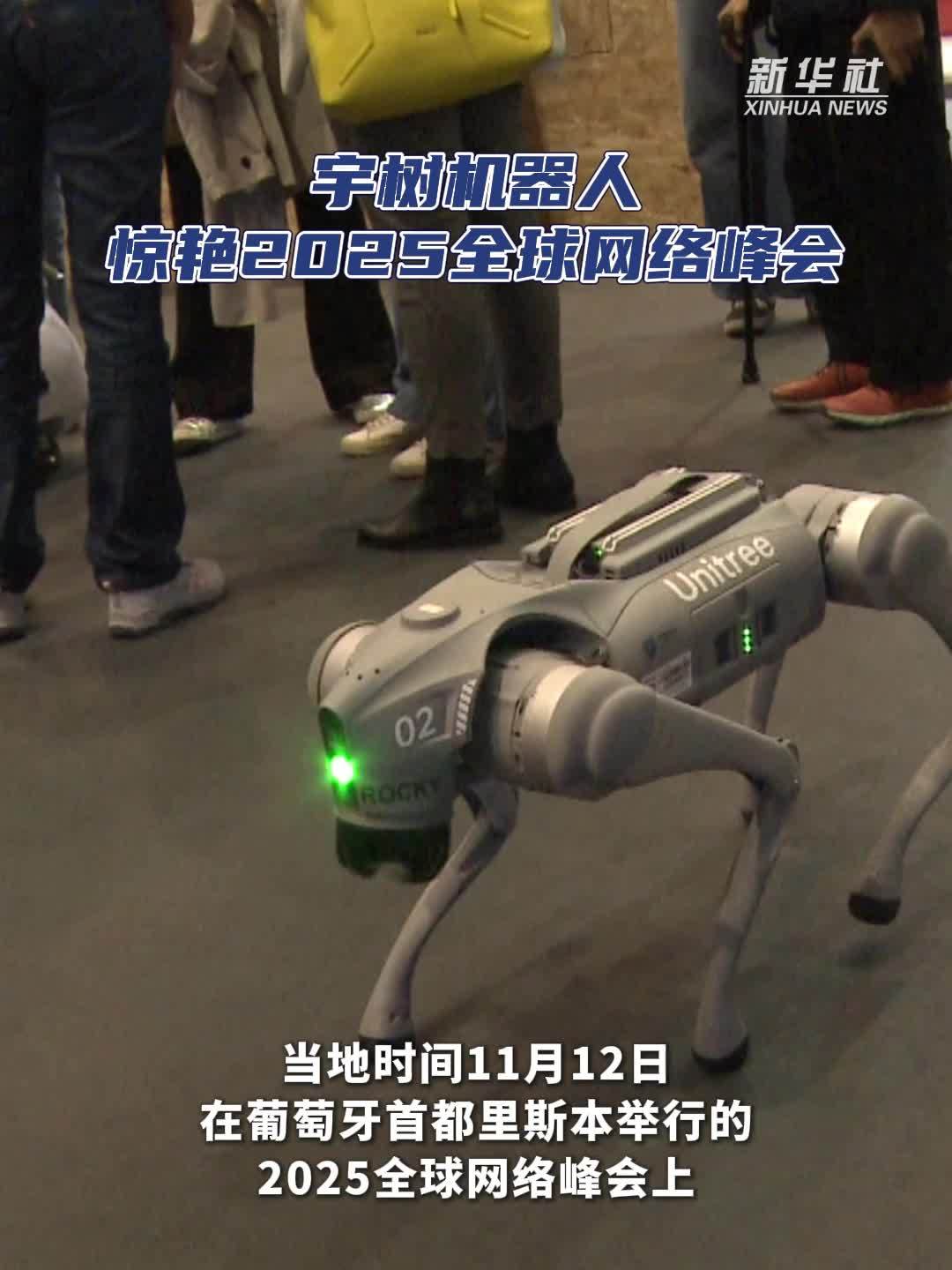 宇树机器人惊艳2025全球网络峰会