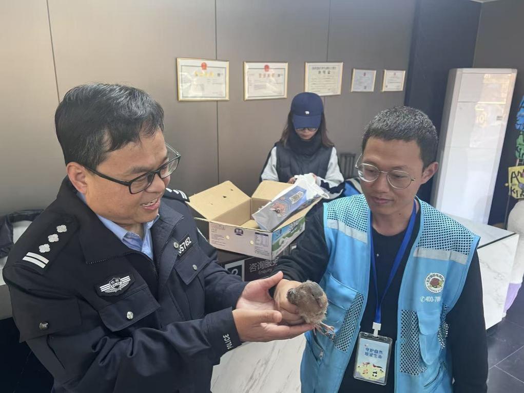 ůġţèڶᡰʳ¹ҡС