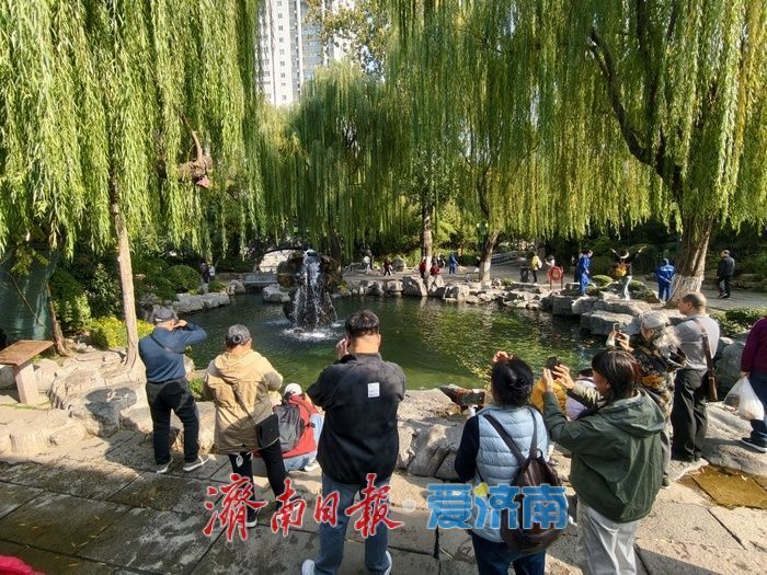 一年四季 泉在济南丨清泉汩汩映晴空，“月牙飞瀑”醉初冬