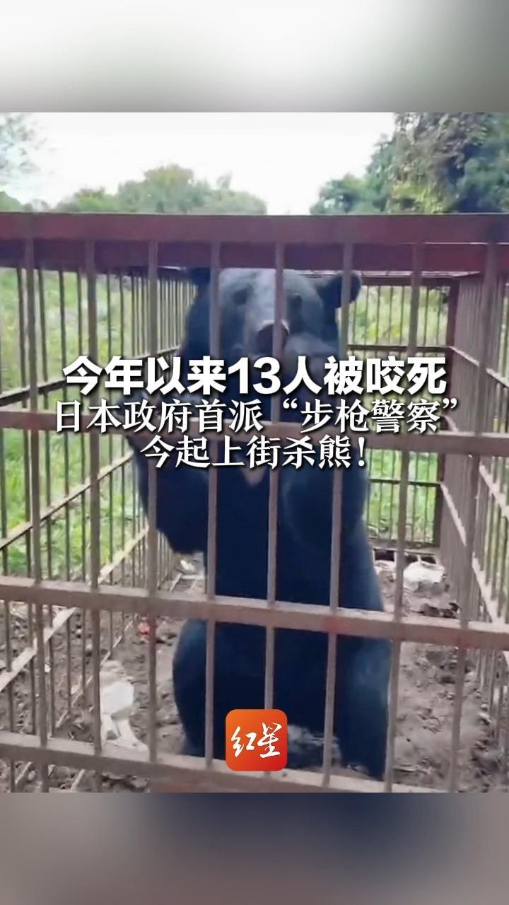 今年以来13人被咬死 日本政府首派“步枪警察” 今起上街杀熊！专家称熊或已意识到人类没那么可怕