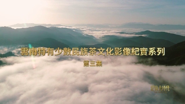 云南特有少数民族茶文化影像纪实系列：茶宴