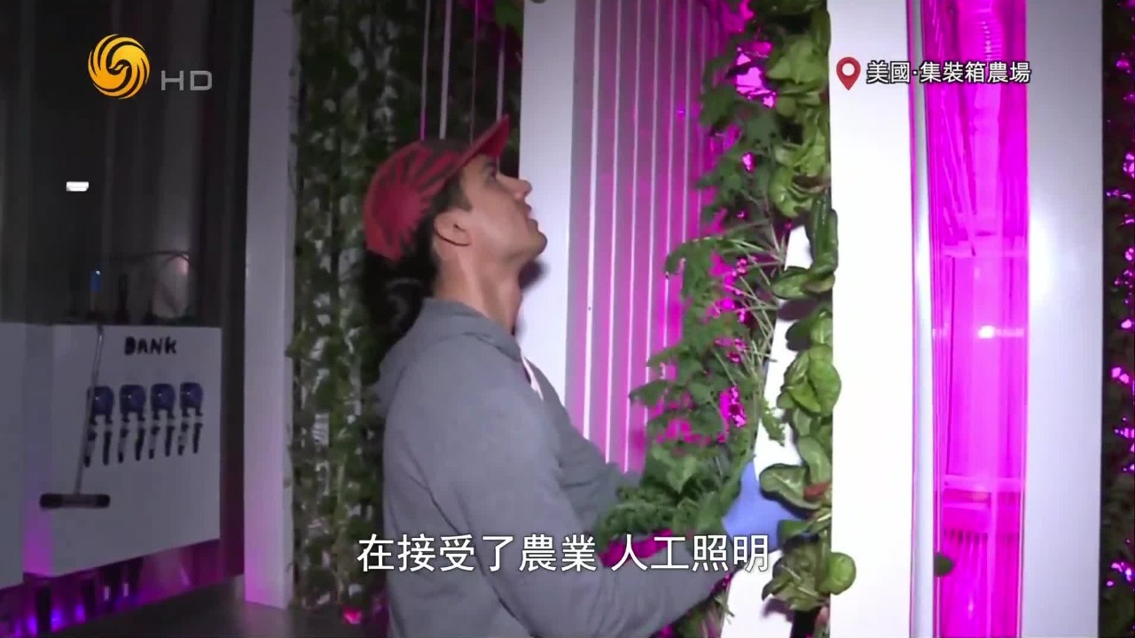 马斯克的弟弟成为科技菜农大佬，集装箱农场未来或成“火星农场”？