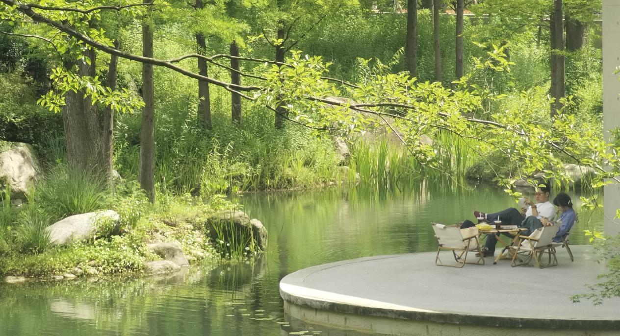 只此苏州⑥|城即园林，绘就苏州“福气”底色