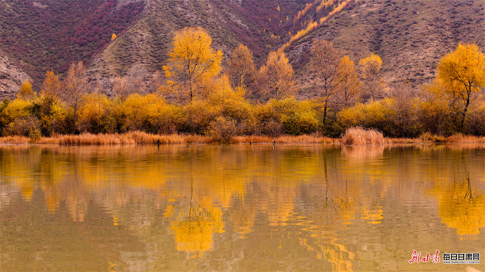 五彩山林似油画 洮河冬韵绘诗篇