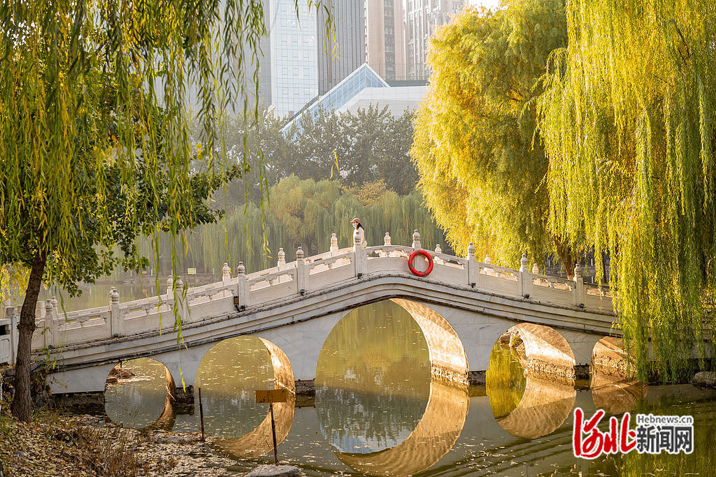 11月11日，石家庄长安公园，市民在观赏美景拍照留念。