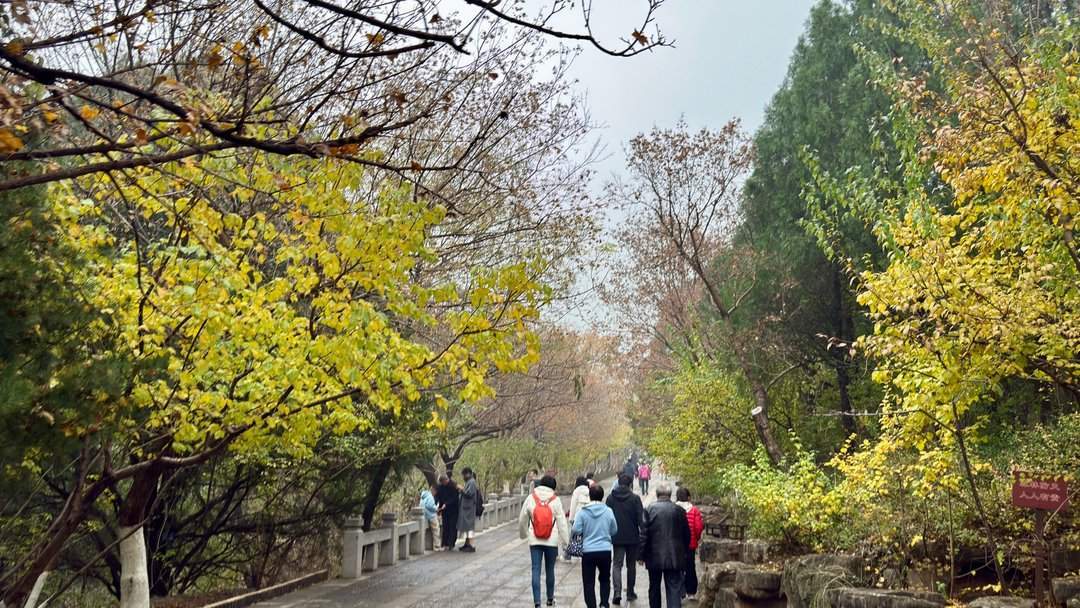 济南佛慧山：初冬木叶黄 山高雾沾衣