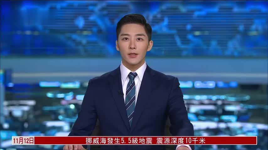 加拿大举行国殇日纪念活动 向军人致敬