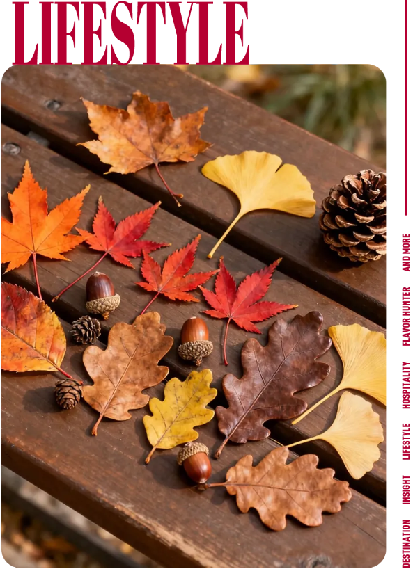 北京人最爱的秋景,在海淀?