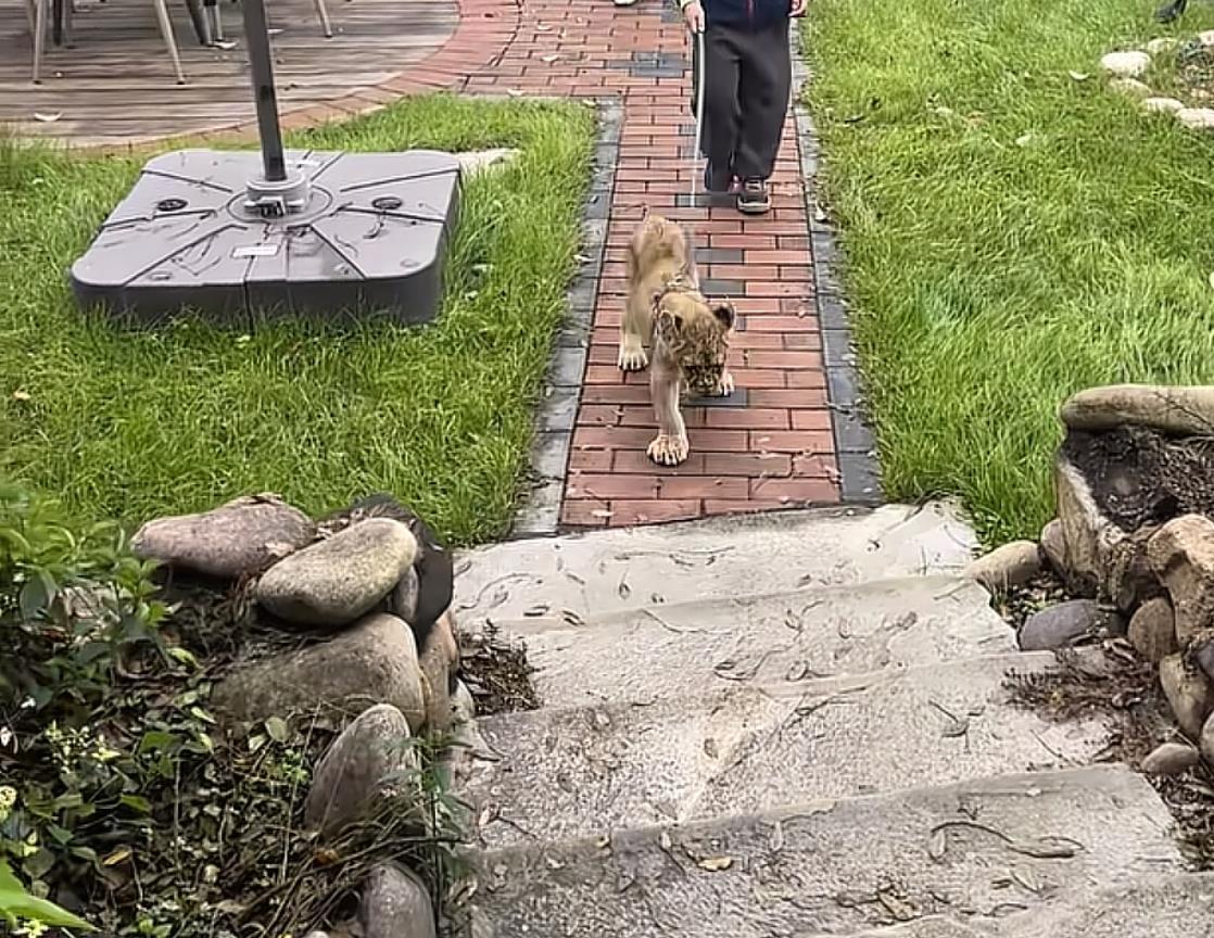 网友发布的视频