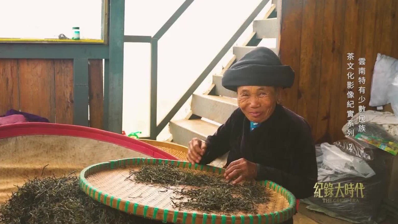 专家：烟熏味与茶叶的香味完美融合，布朗族特有时期制作的茶非常有特色