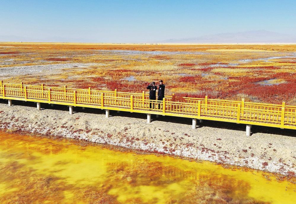 11月9日，阿克塞哈萨克族自治县公安局阿勒腾派出所民辅警对苏干湖湿地的候鸟栖息地进行观测。今年以来，阿克塞哈萨克族自治县公安局定期组织民辅警对湿地核心区、水源涵养区、候鸟栖息地等地开展空地一体式立体巡防，为湿地生态环境保驾护航，切实筑牢生态屏障。新甘肃·甘肃经济日报通讯员　马璐　摄