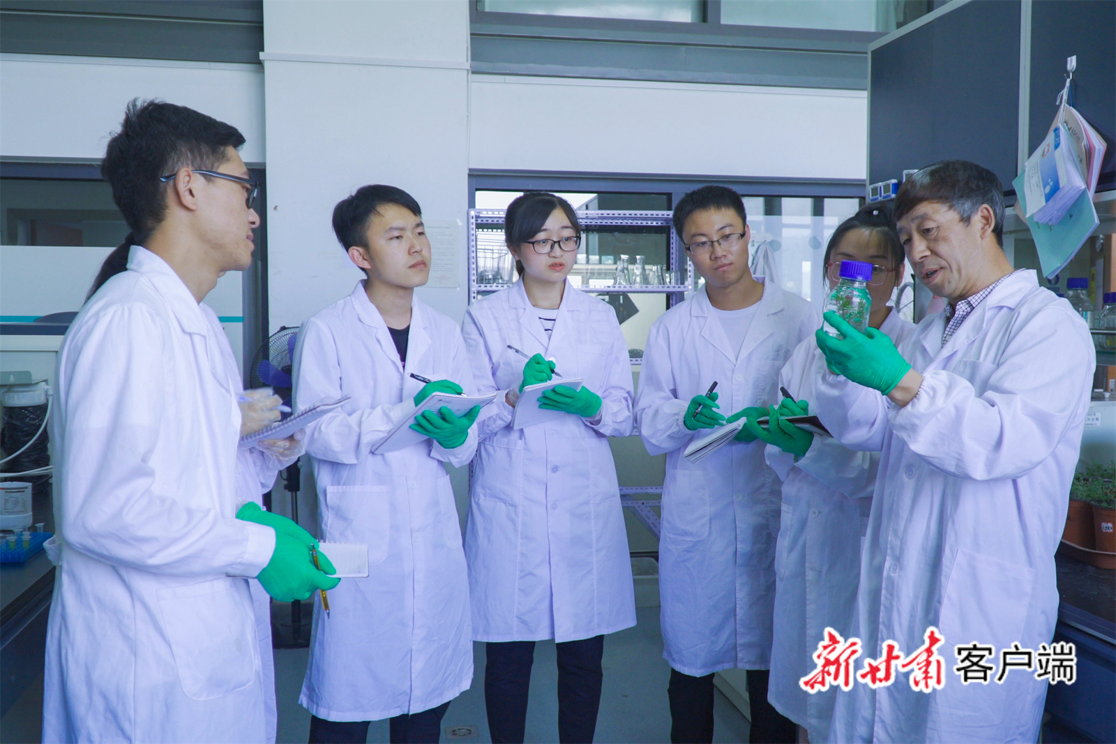 团队王化俊教授（右一）向学生讲述盐生草特性