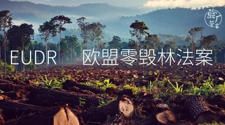 ŷ��EUDR��֤��ʽ��أ������鳧�ܼ�������ҵ��ͨŷ�޺Ϲ�ó��ͨ��