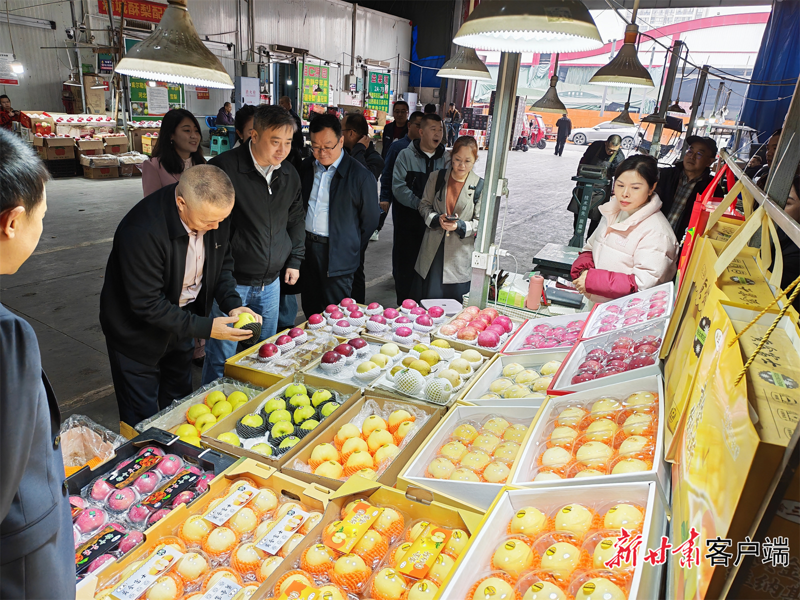 甘肃农产品供应商实地考察双福市场中甘肃果品销售情况
