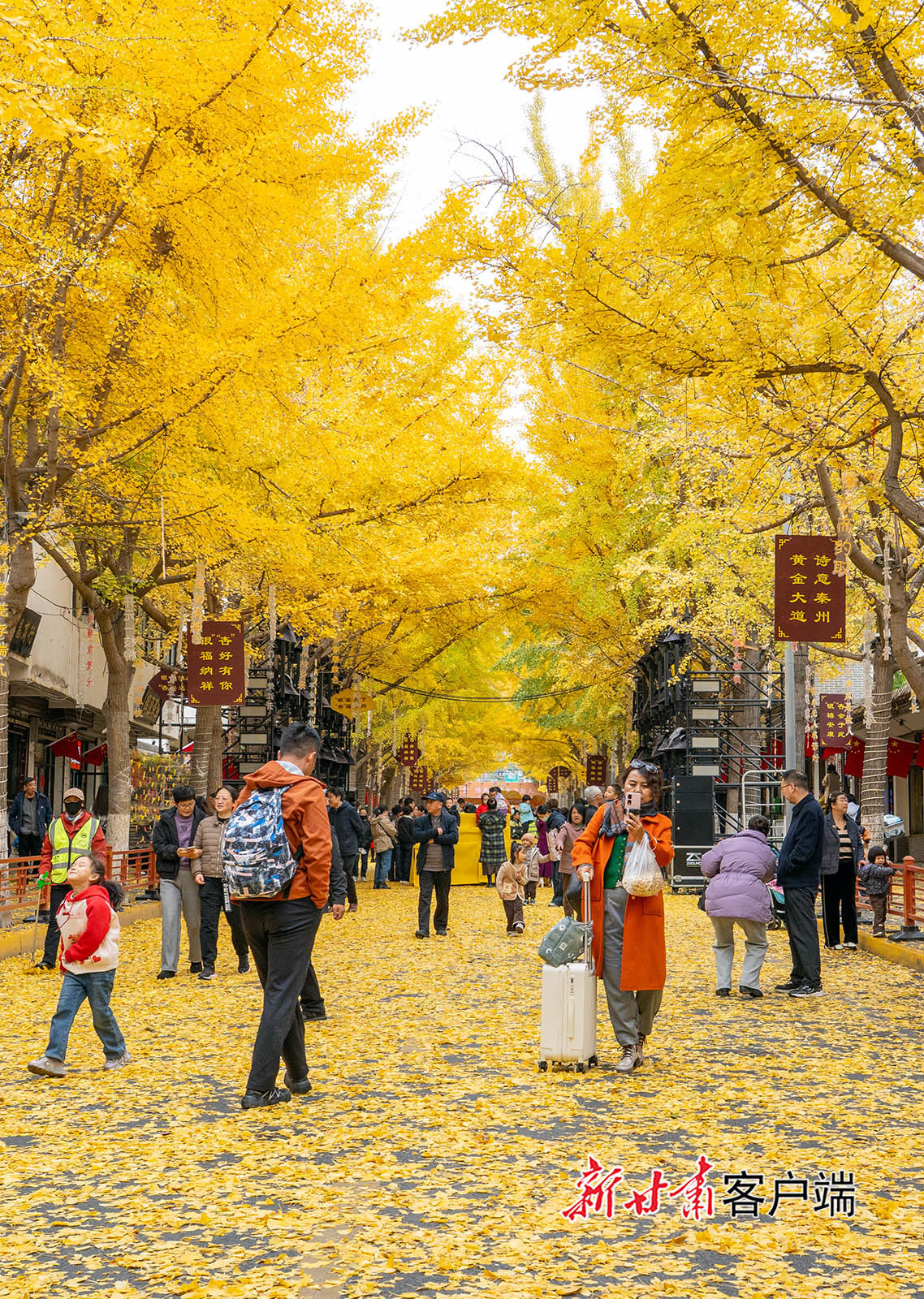 甘肃上演绝美冬日浪漫大片　快来一探究“镜”