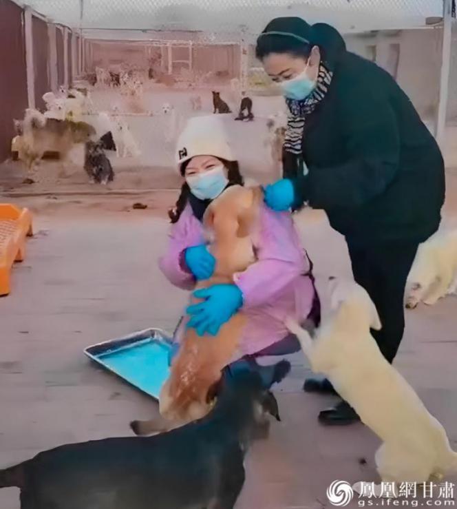 救助流浪动物志愿者花福玲（左）长期在救助站做义工