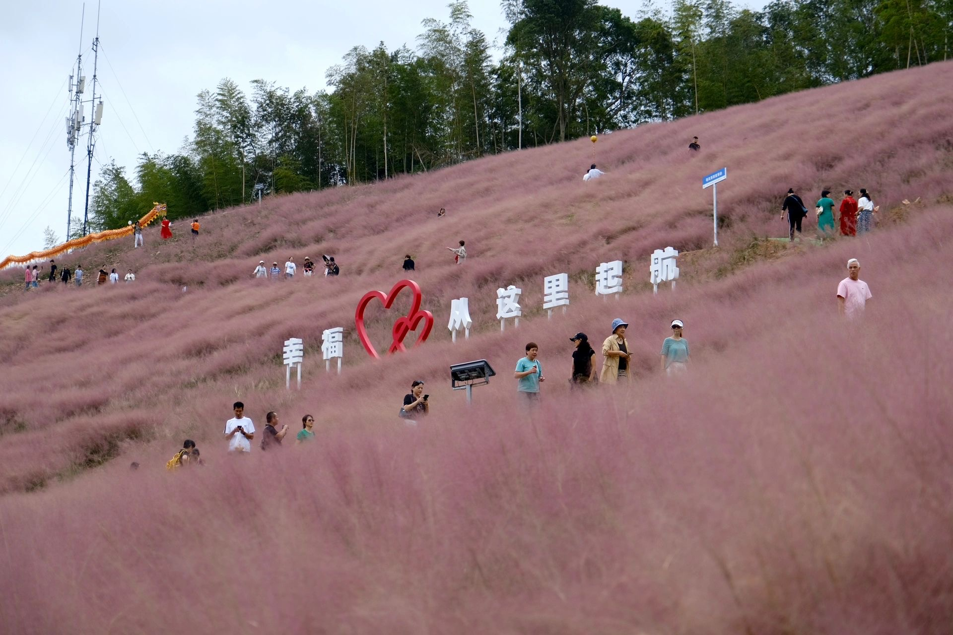 “四季乡韵 看见宁波”共富行丨庙后周村：粉黛染秋田，古陶续新篇