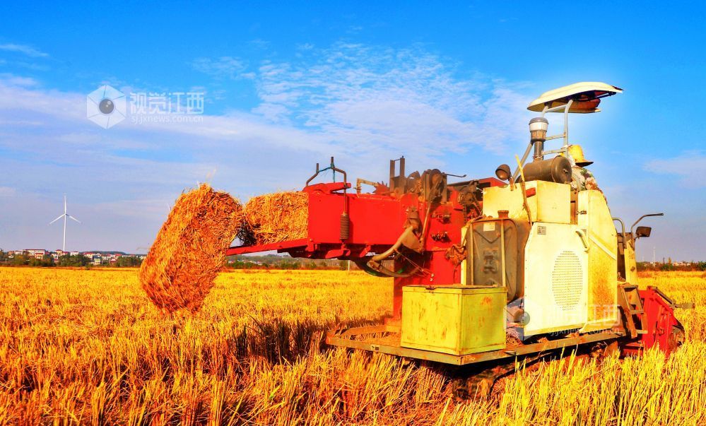 新余渝水区：秸秆回收 助农增收（图）