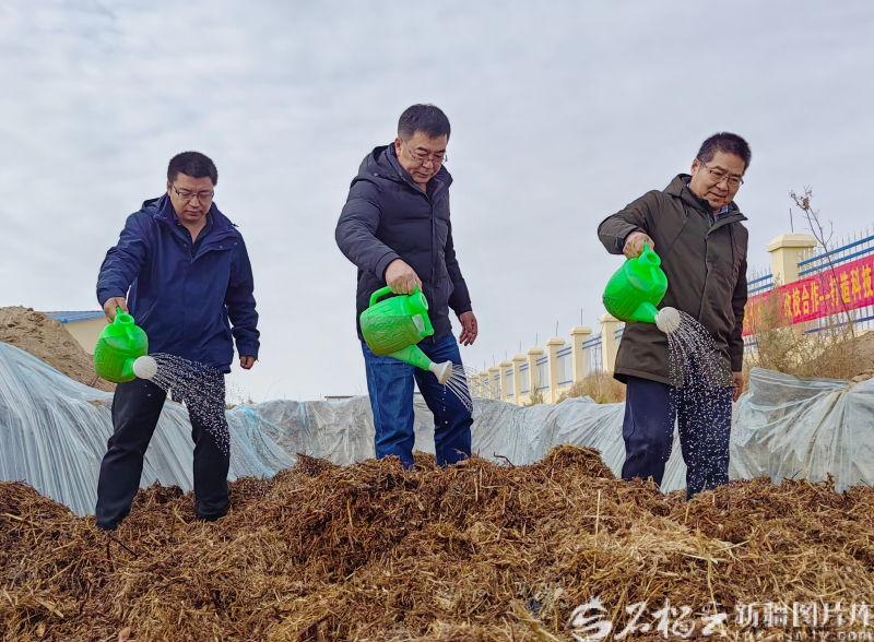 2025年1月,石河子大学棉花秸秆微贮饲草料综合利用科技特派员团队为阿图什市格达良乡养殖合作社制作秸秆微贮饲料。图/石河子大学提供