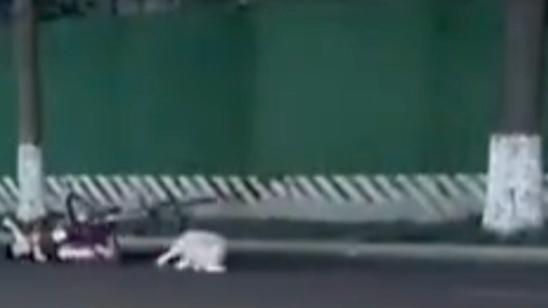 揪心！女子骑车被未拴绳狗绊倒躺地抽搐，目击者：走近后发现女生已经昏迷，路人们帮忙叫了救护车并报警