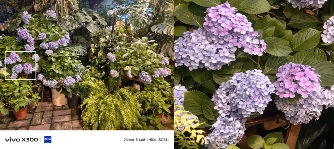 苹果推出大折叠,影像集体上大底,2026将是手机的“大”年