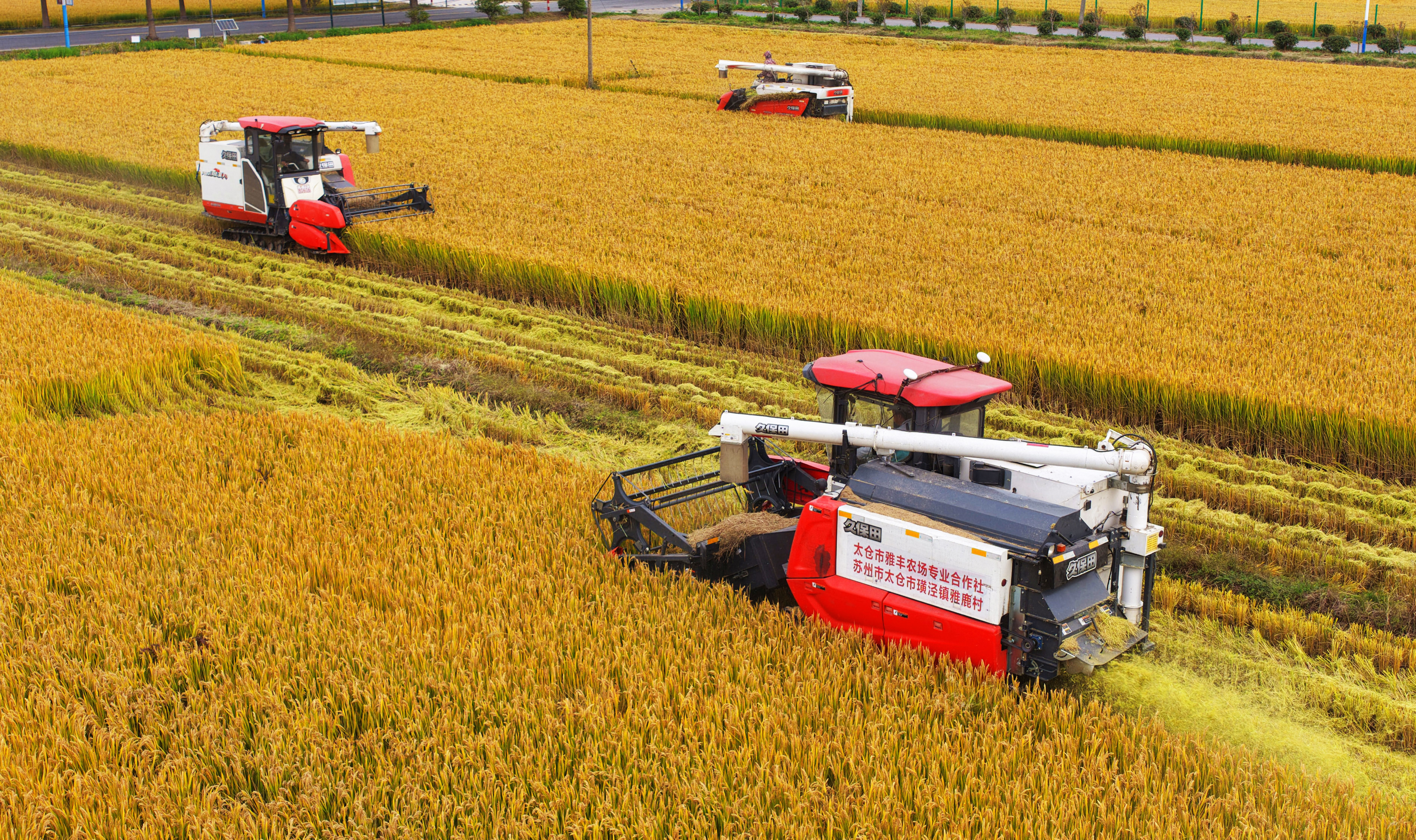 太仓璜泾镇：新质生产力的乡土答案