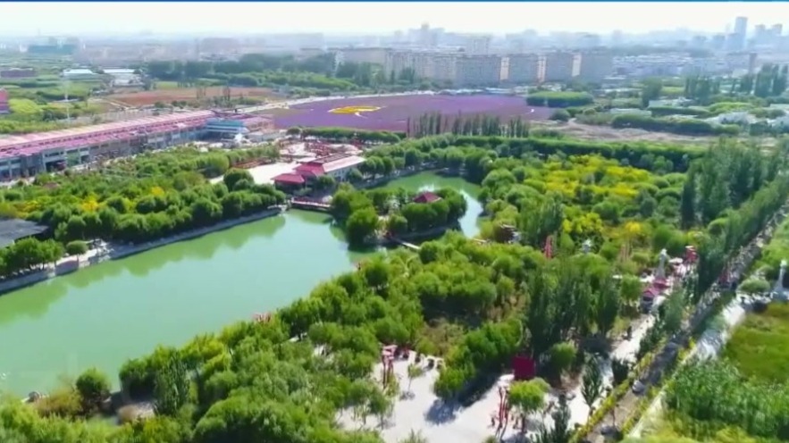 特色文旅品牌上分　甘肃肃州大“游”可为