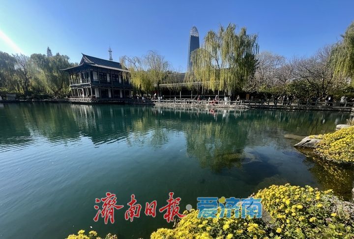 一年四季 泉在济南丨落叶绘“萌鹿” 济南五龙潭打卡冬日限定浪漫