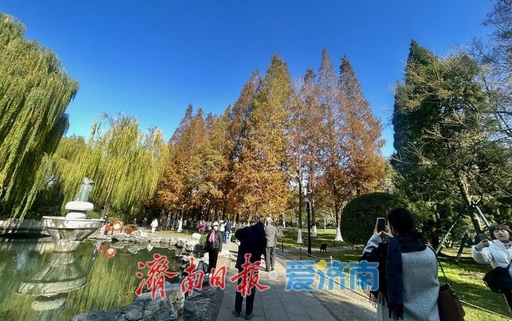 一年四季 泉在济南丨落叶绘“萌鹿” 济南五龙潭打卡冬日限定浪漫