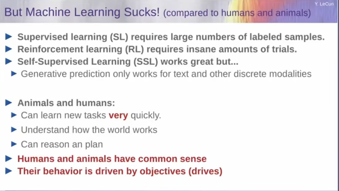 图灵奖得主LeCun最后警告Meta!我搞了40年AI,大模型是死路