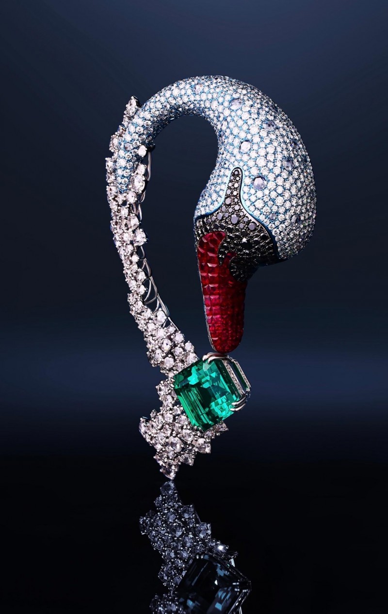 ��������