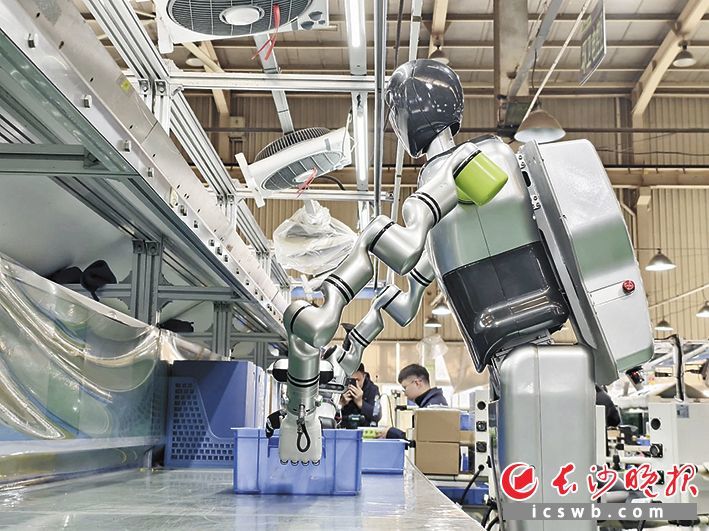 中联重科已成功研制多款人形机器人,全面覆盖工业作业多元需求。受访方供图