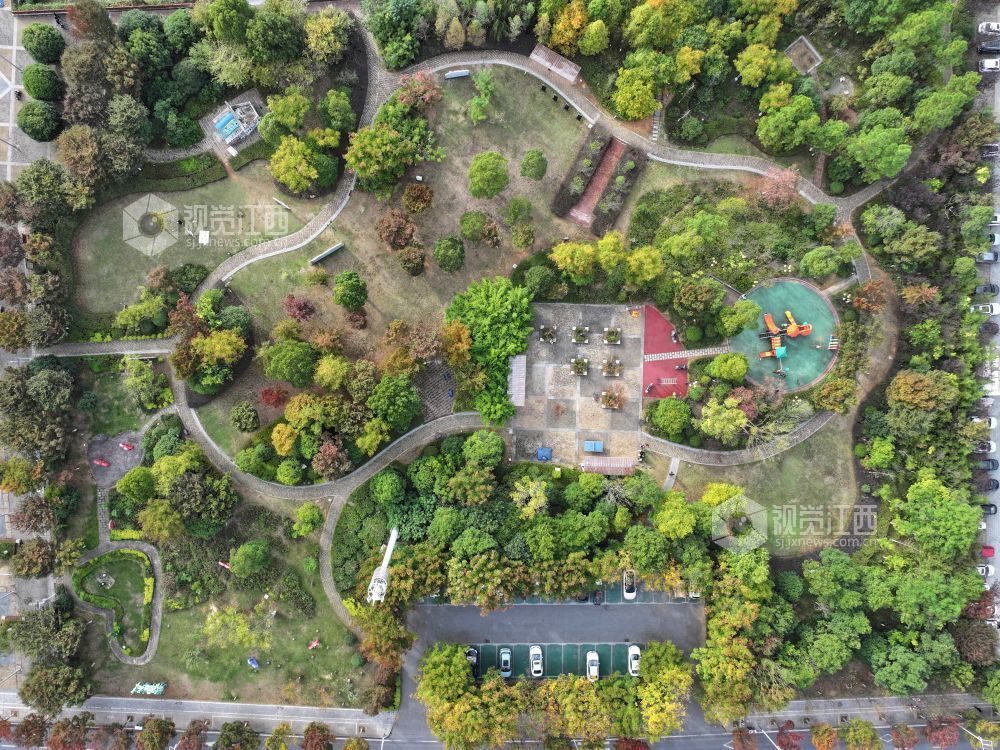 2025年11月14日,江西省萍乡市芦溪县芦洲园湿地公园,色彩斑斓的公园在冬日阳光映衬下美如画卷,吸引不少市民前来拍照打卡。