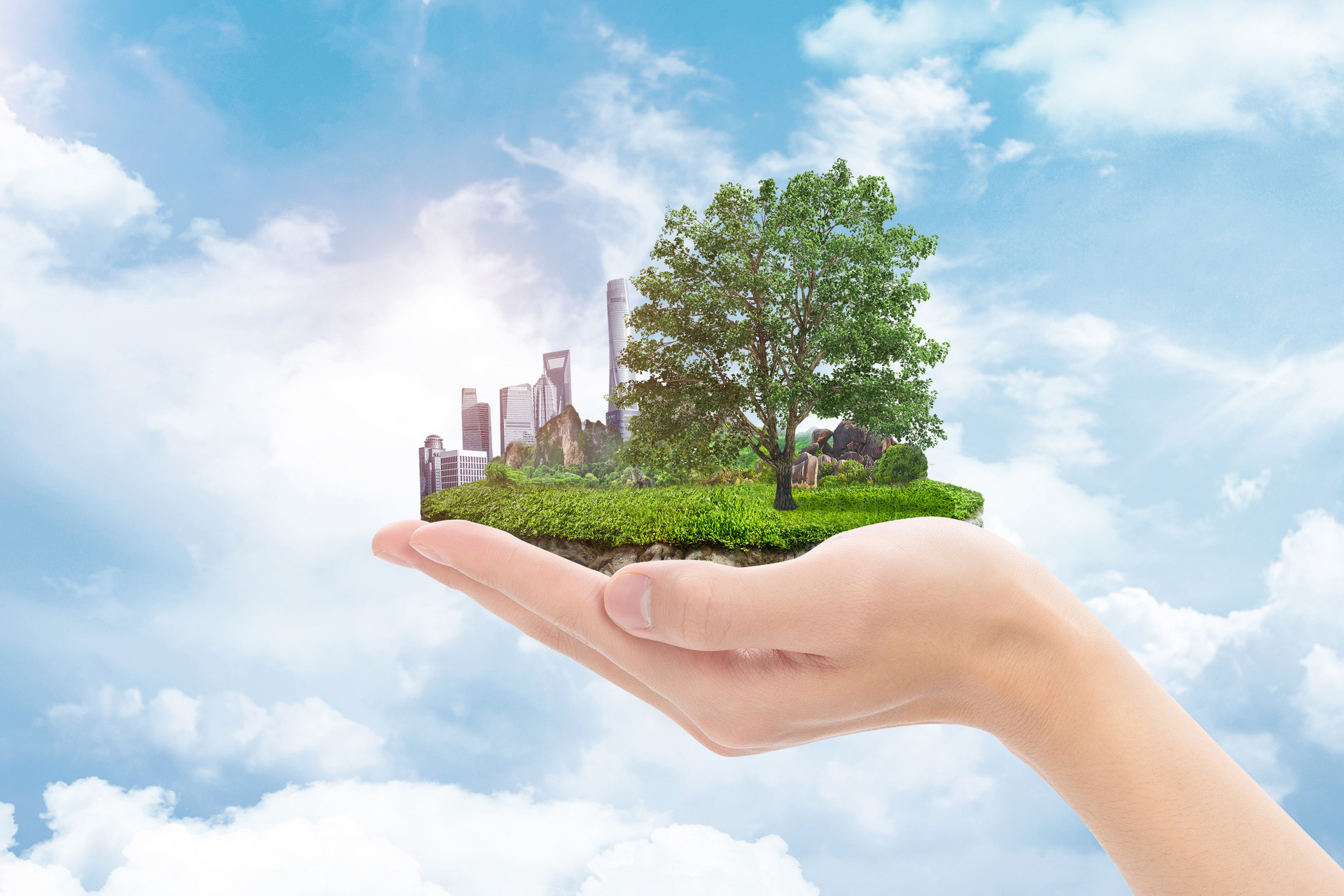 深学细悟统战思想 胶州市凝心聚力绘就生态环保新蓝图