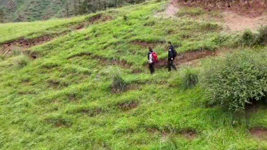 祁连山的植绿“练习生”