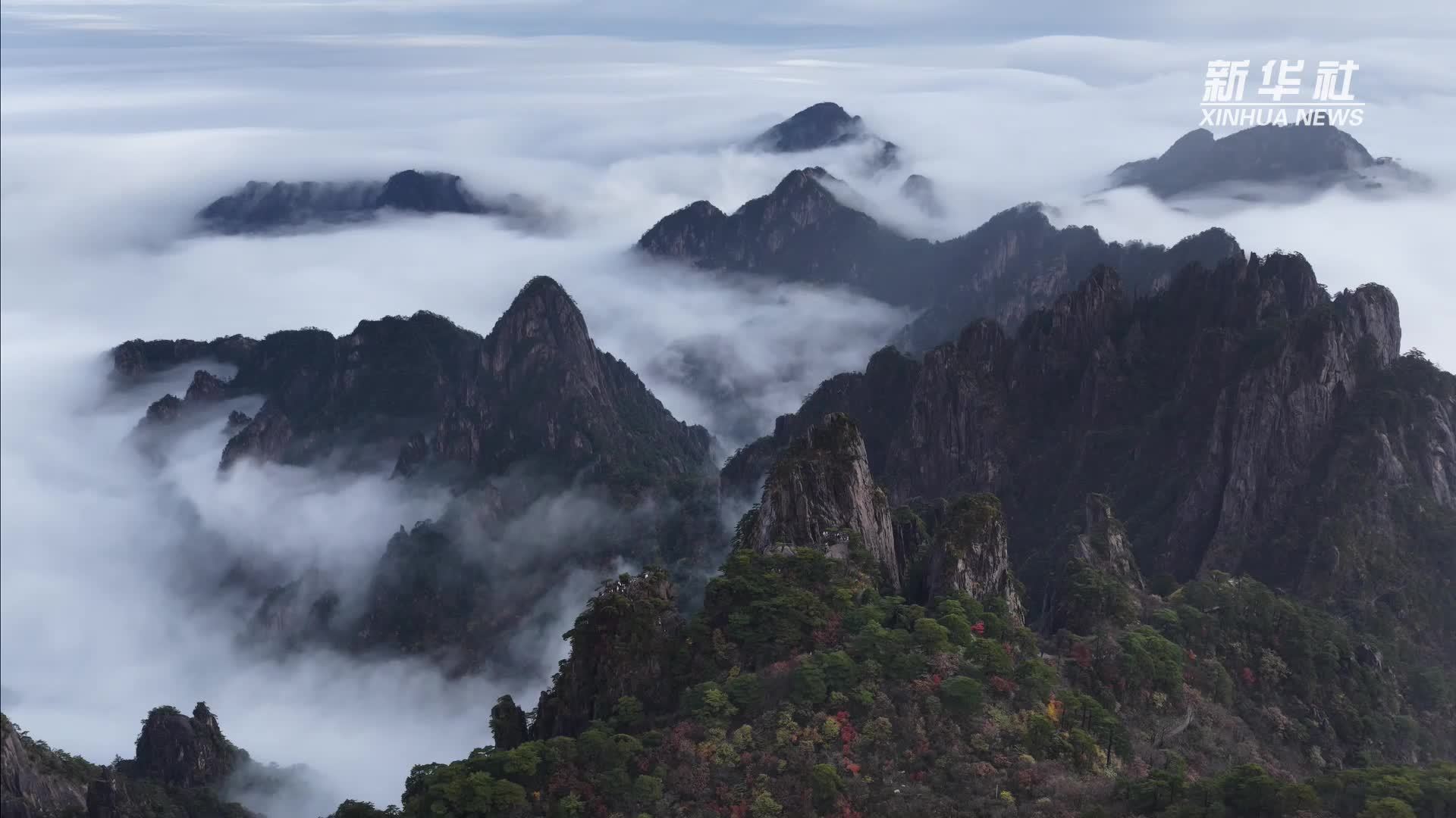 安徽黄山：云涛卷翠 天地共成诗画