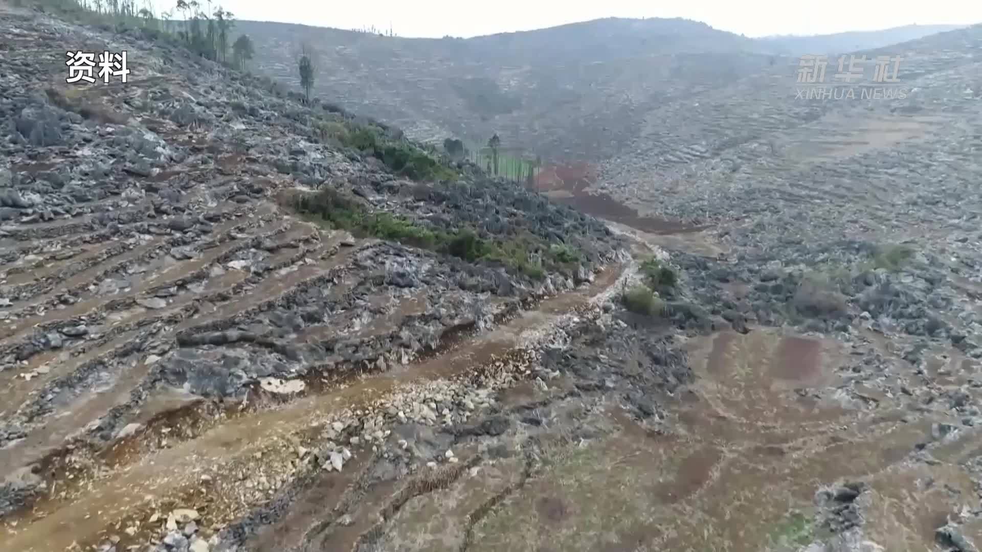 乡村振兴：石漠荒山上的绿色奇迹
