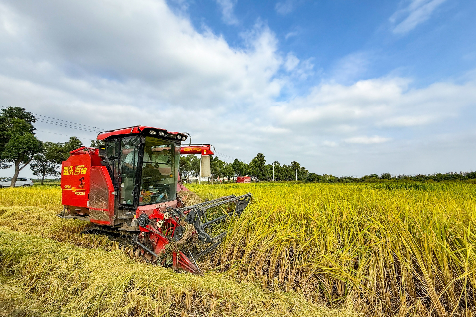 提升农技人员业务素质 推动即墨区农业现高质量发展