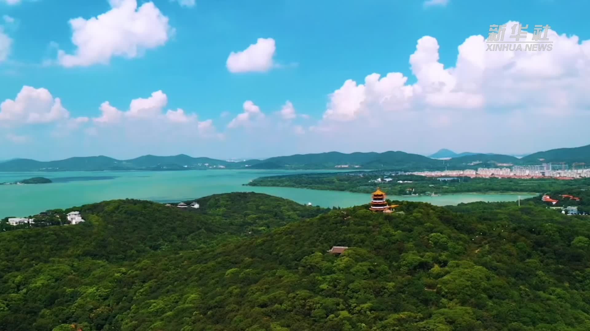 四中全会精神在基层｜候鸟“投票”太湖美，科技清淤谱新篇