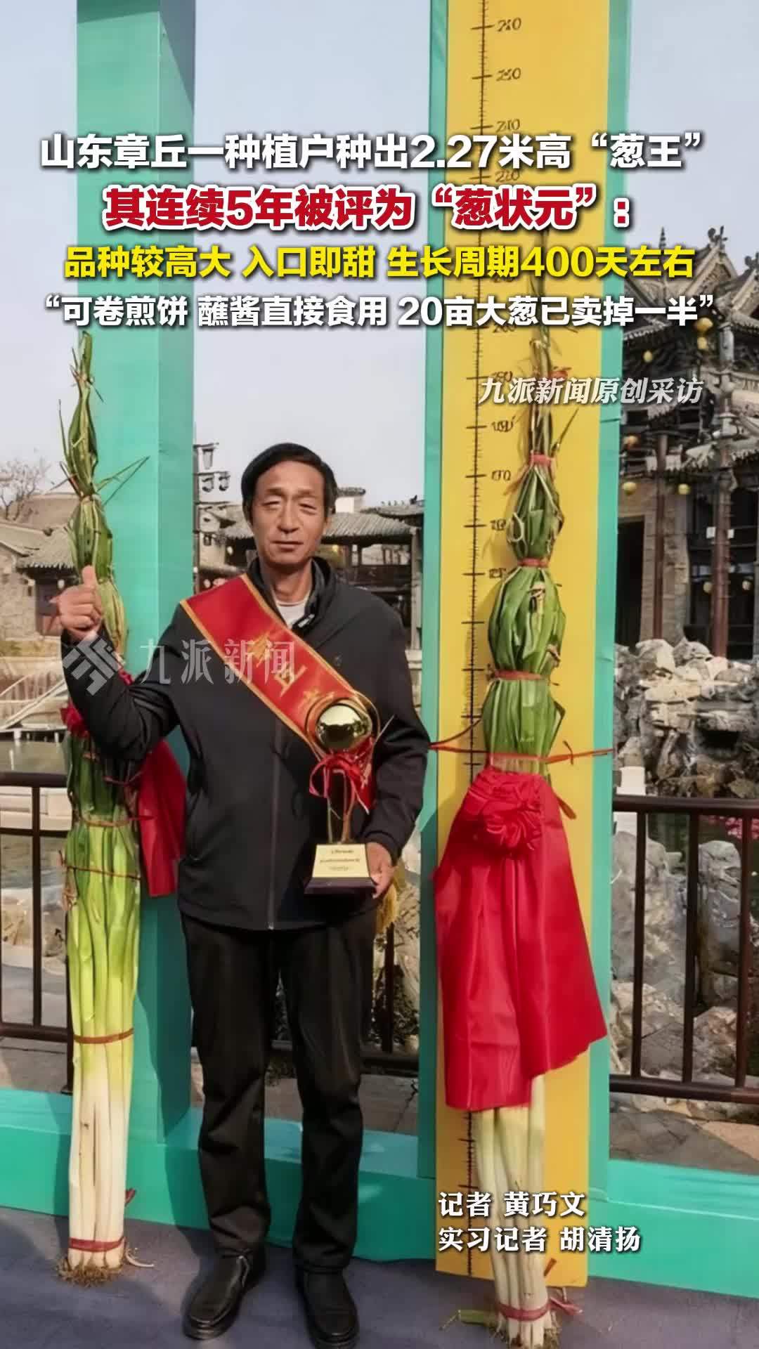 山东章丘一种植户种出高2.27米“葱王”
