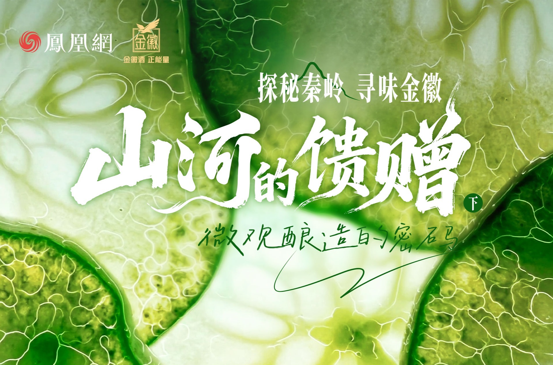 探秘秦岭 寻味金徽 ——山河的馈赠（下）