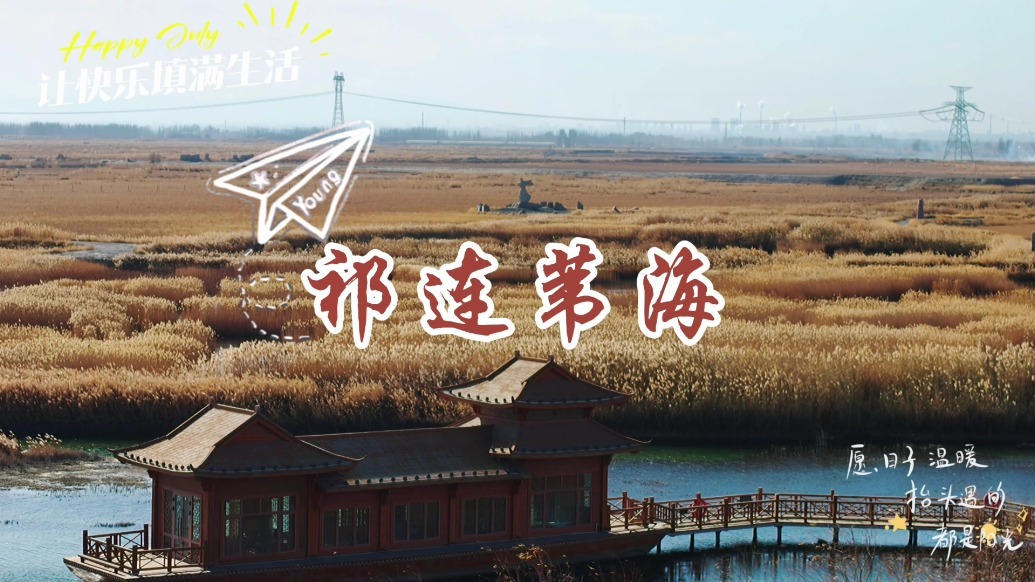 一不小心误入祁连苇海　醉了心养了眼